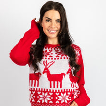 Load image into Gallery viewer, Fundraising - Matching Pet and Owner Christmas Sweaters: Classic Christmas