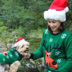 Matching Pet and Owner Christmas Sweaters: Rad Reindeer