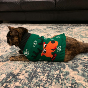 Matching Pet and Owner Christmas Sweaters: Rad Reindeer