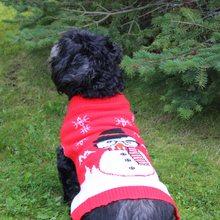 Load image into Gallery viewer, Matching Pet and Owner Christmas Sweaters: Sassy Snowman