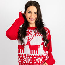 Load image into Gallery viewer, Matching Pet and Owner Christmas Sweaters: Classic Christmas