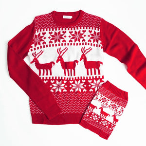 Matching Pet and Owner Christmas Sweaters: Classic Christmas