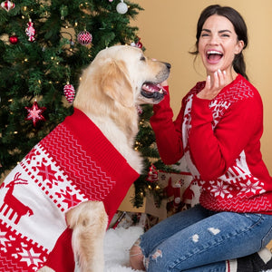 Matching Pet and Owner Christmas Sweaters: Classic Christmas