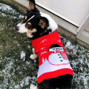 Matching Pet and Owner Christmas Sweaters: Sassy Snowman
