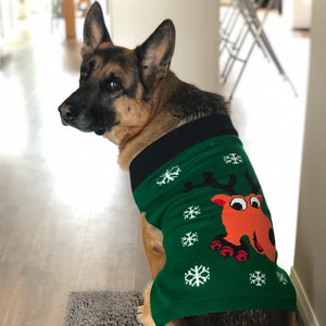 Matching Pet and Owner Christmas Sweaters: Rad Reindeer