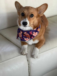 Matching Bandana and Scrunchie: Once and Floral