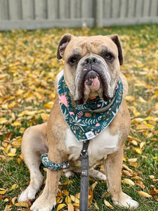 Matching Bandana and Scrunchie: Dino-mite