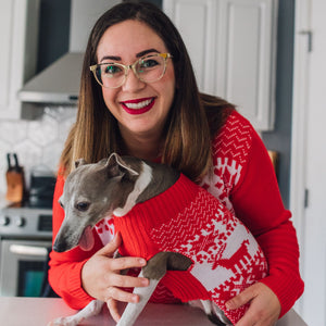 Matching Pet and Owner Christmas Sweaters: Classic Christmas