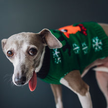 Load image into Gallery viewer, Matching Pet and Owner Christmas Sweaters: Rad Reindeer