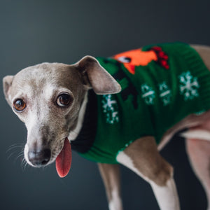 Matching Pet and Owner Christmas Sweaters: Rad Reindeer