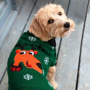 Matching Pet and Owner Christmas Sweaters: Rad Reindeer